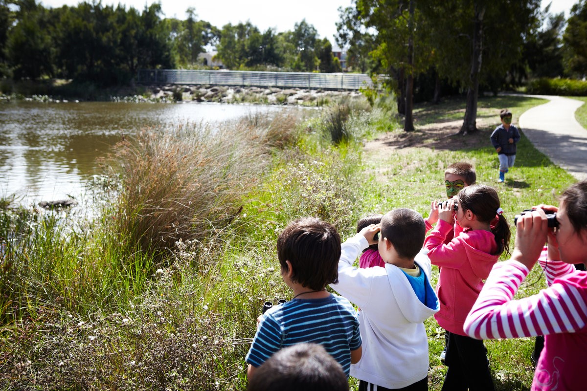 Living Links Save The Frogs Day