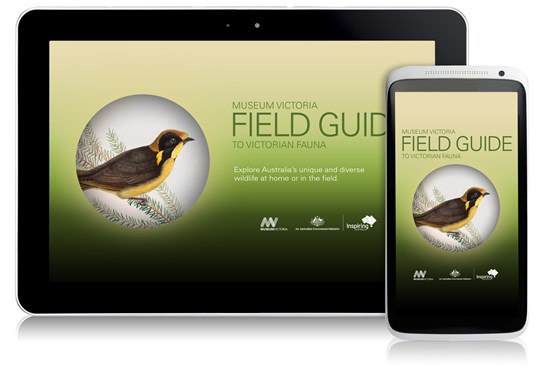 Field Guide App image